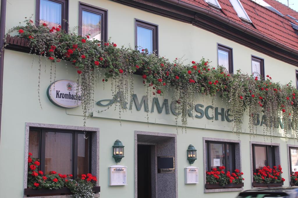 Ammerscher Bahnhof Mühlhausen Εξωτερικό φωτογραφία